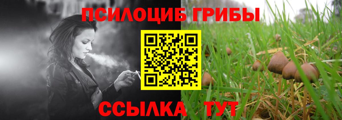 Псилоцибиновые грибы ЛСД  где найти   Южно-Сахалинск  Вход с VPN 